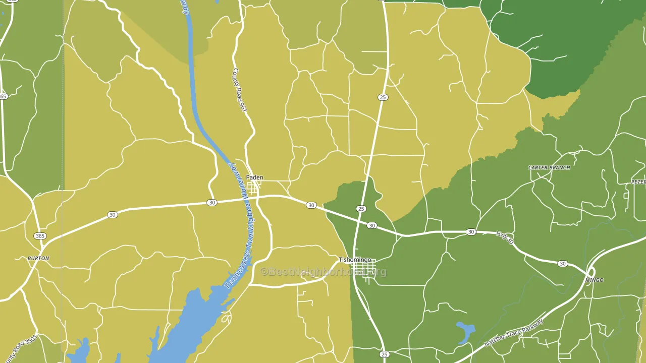 38873, MS block-group voter-turnout map