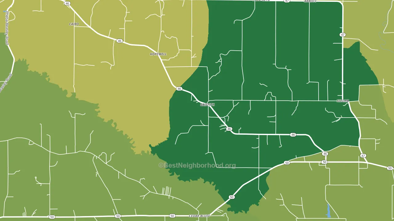 39741, MS block-group voter-turnout map