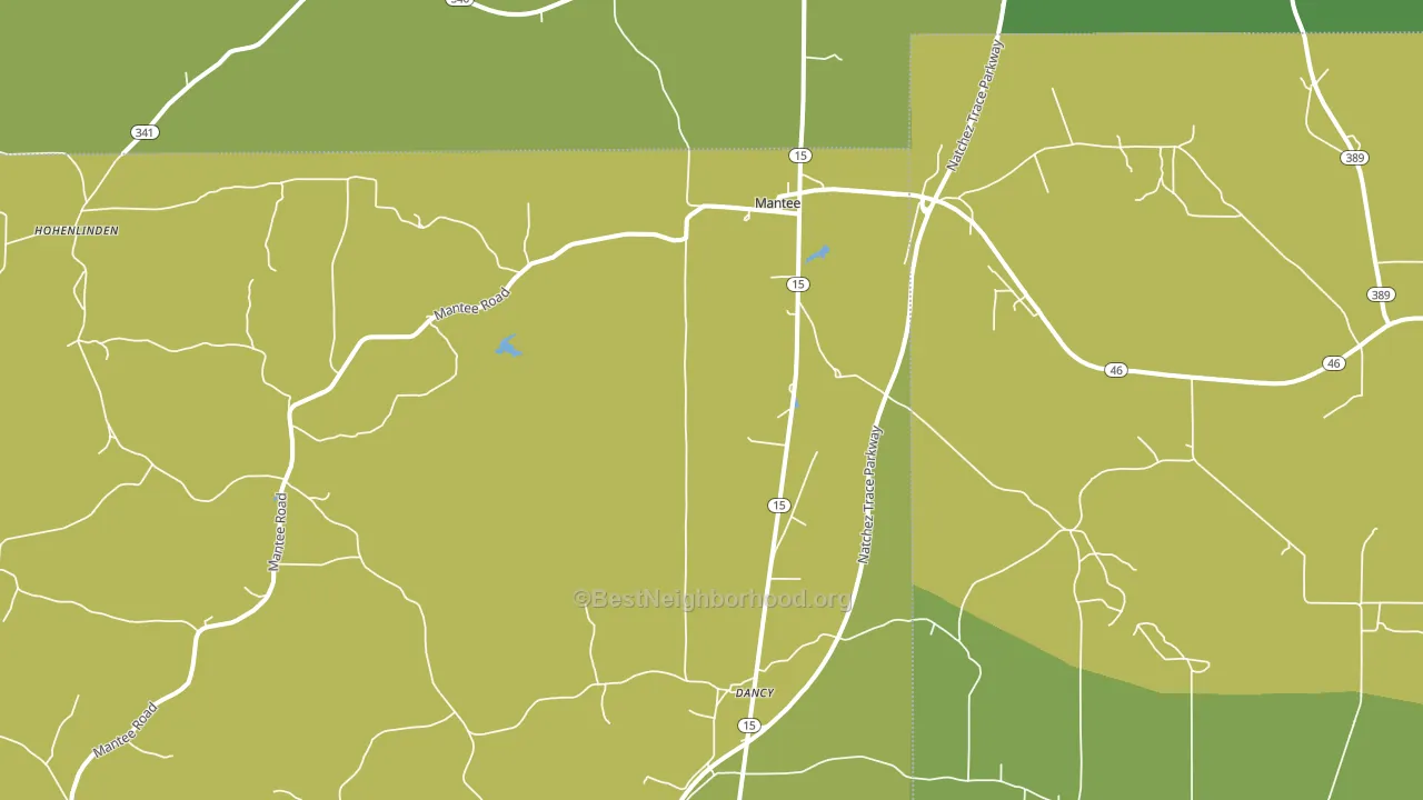 39751, MS block-group voter-turnout map