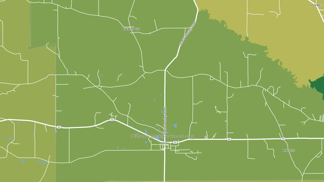 39755, MS block-group voter-turnout map