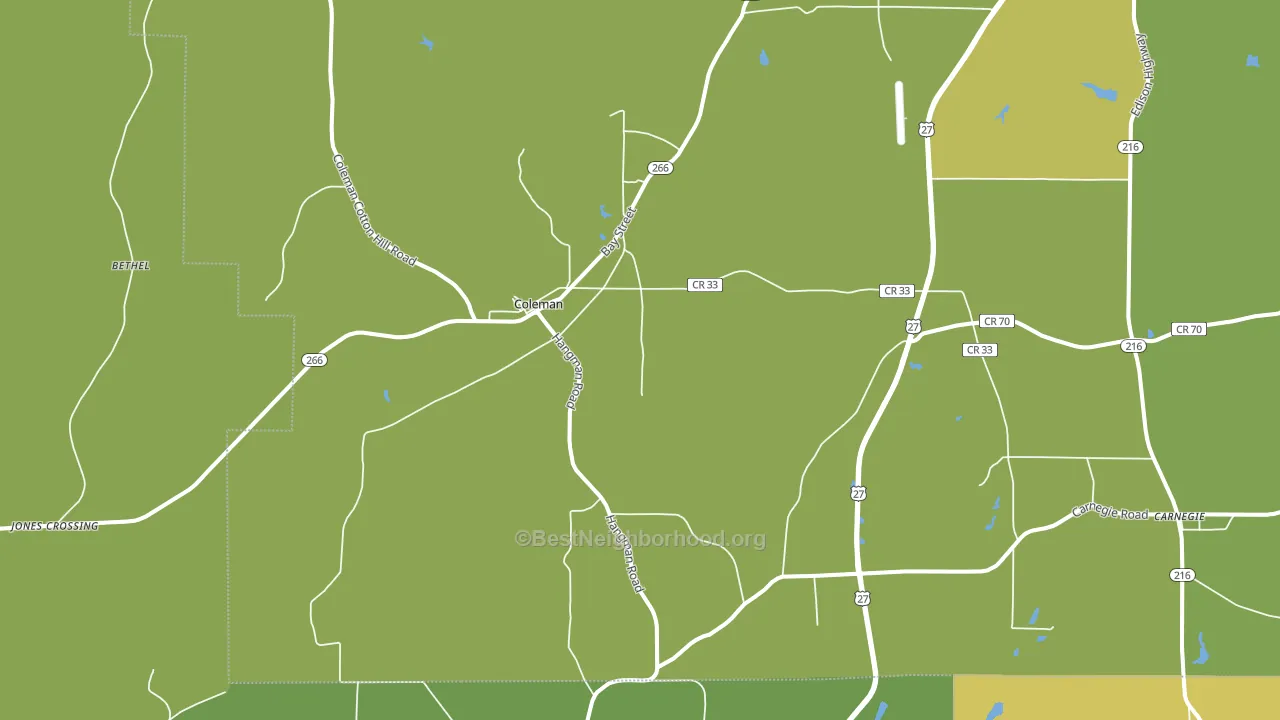 39836, GA block-group voter-turnout map