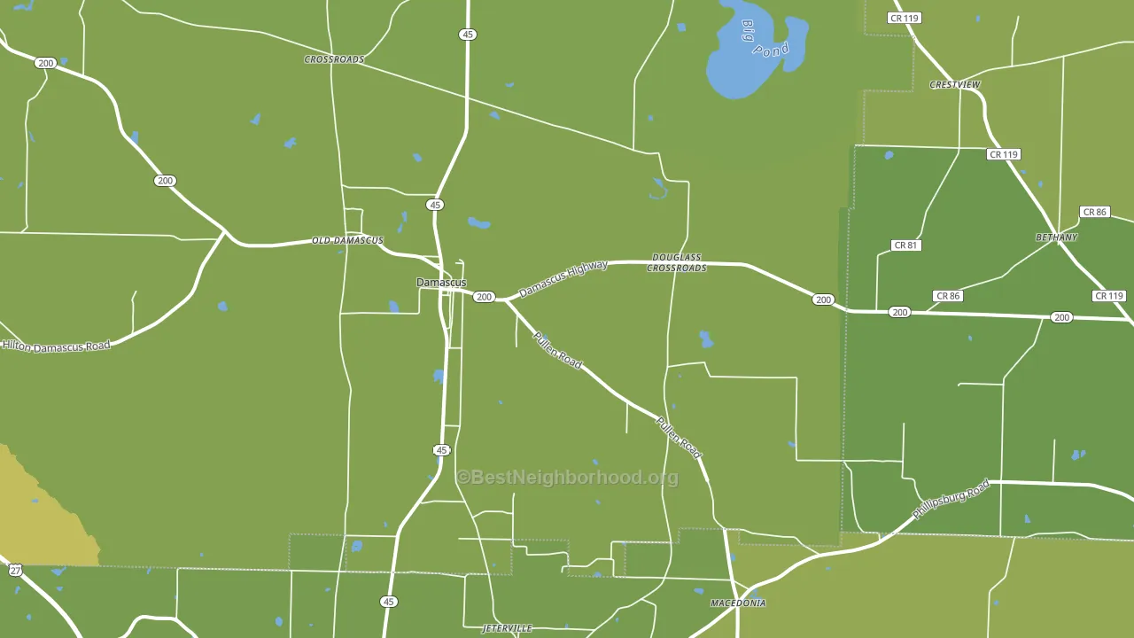 39841, GA block-group voter-turnout map
