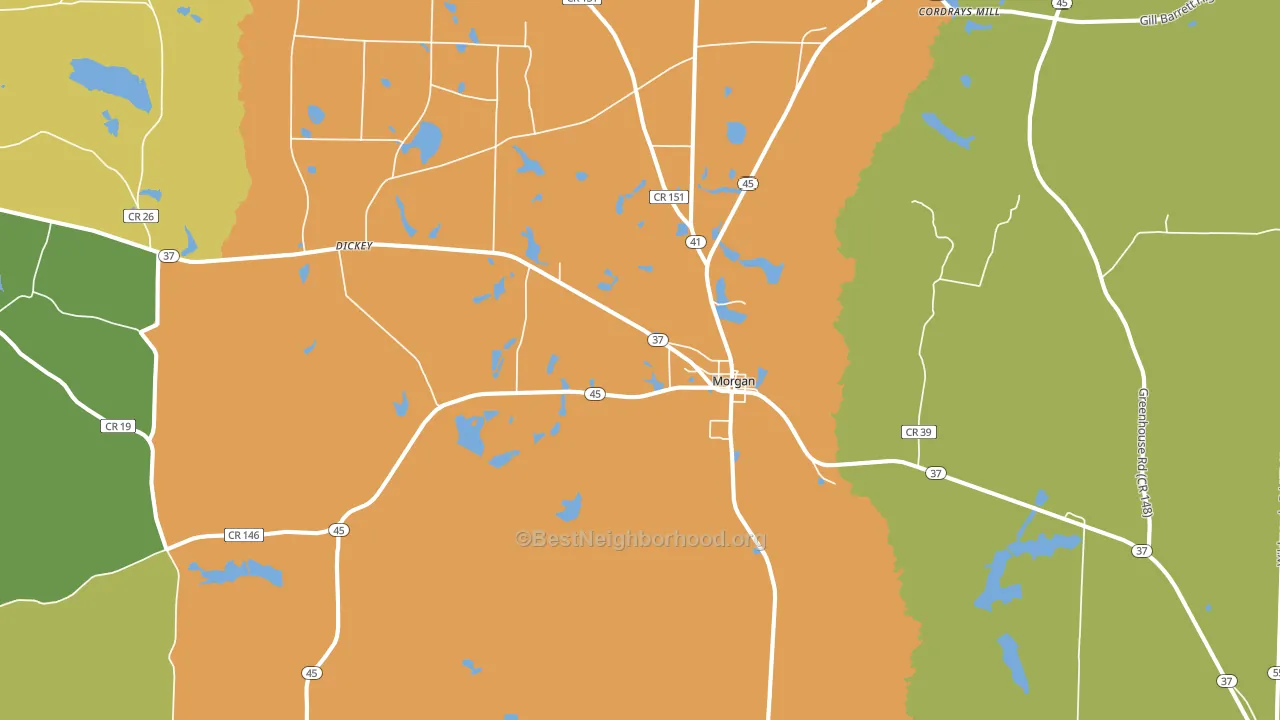 39866, GA block-group voter-turnout map