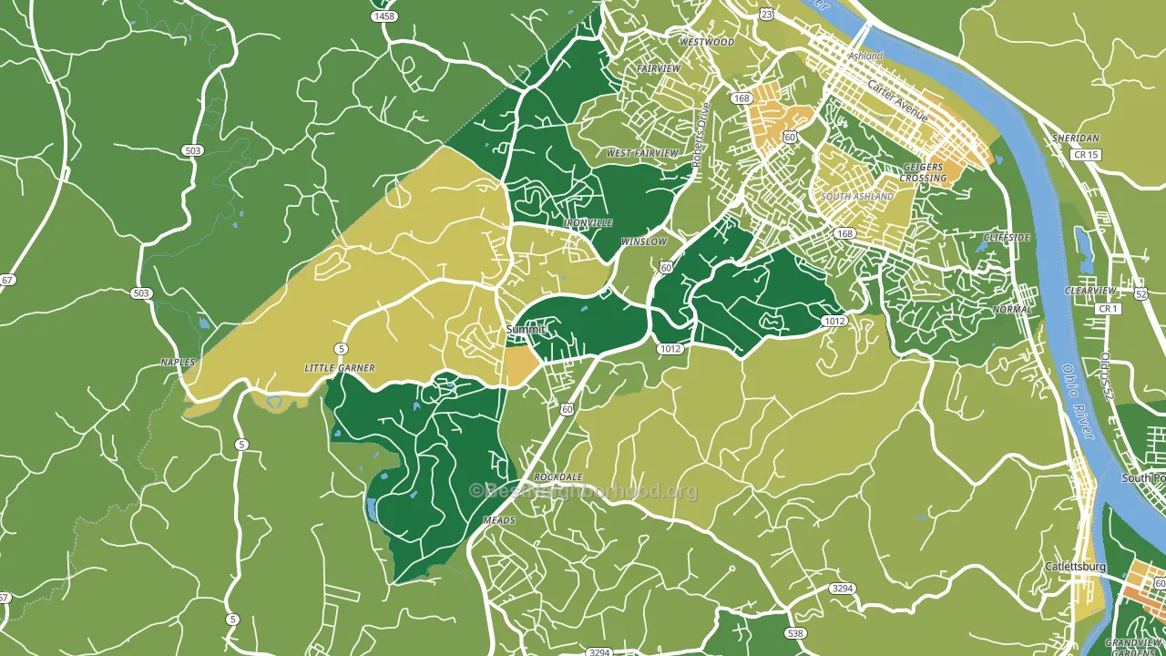 41102, KY block-group voter-turnout map