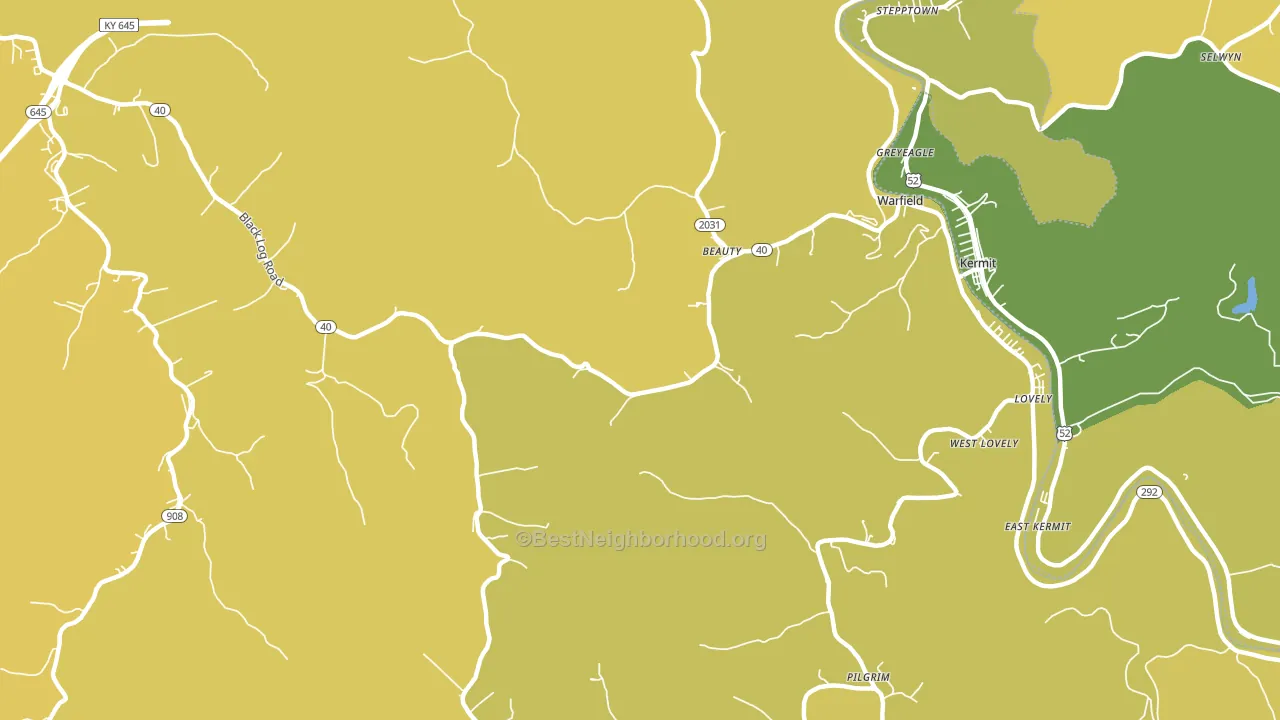 41203, KY block-group voter-turnout map