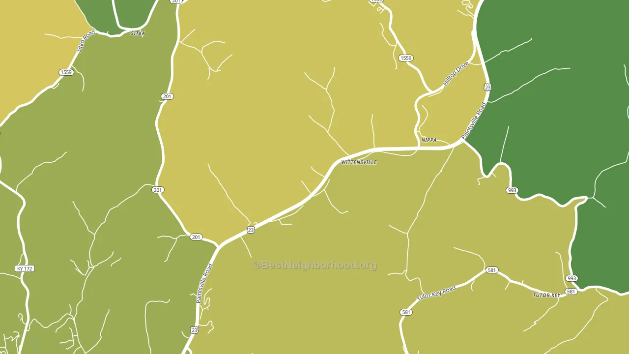 41274, KY block-group voter-turnout map