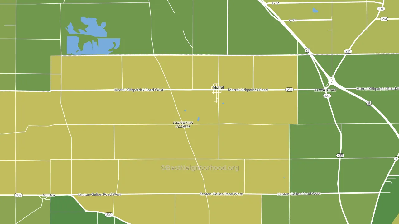 43337, OH block-group voter-turnout map