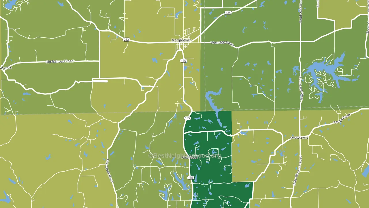 46160, IN block-group voter-turnout map