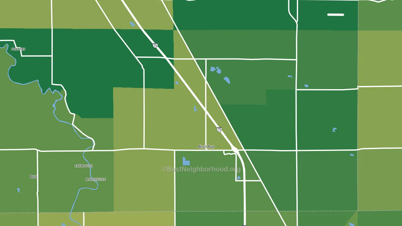 48415, MI block-group voter-turnout map