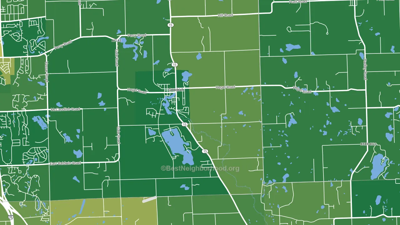 48438, MI block-group voter-turnout map