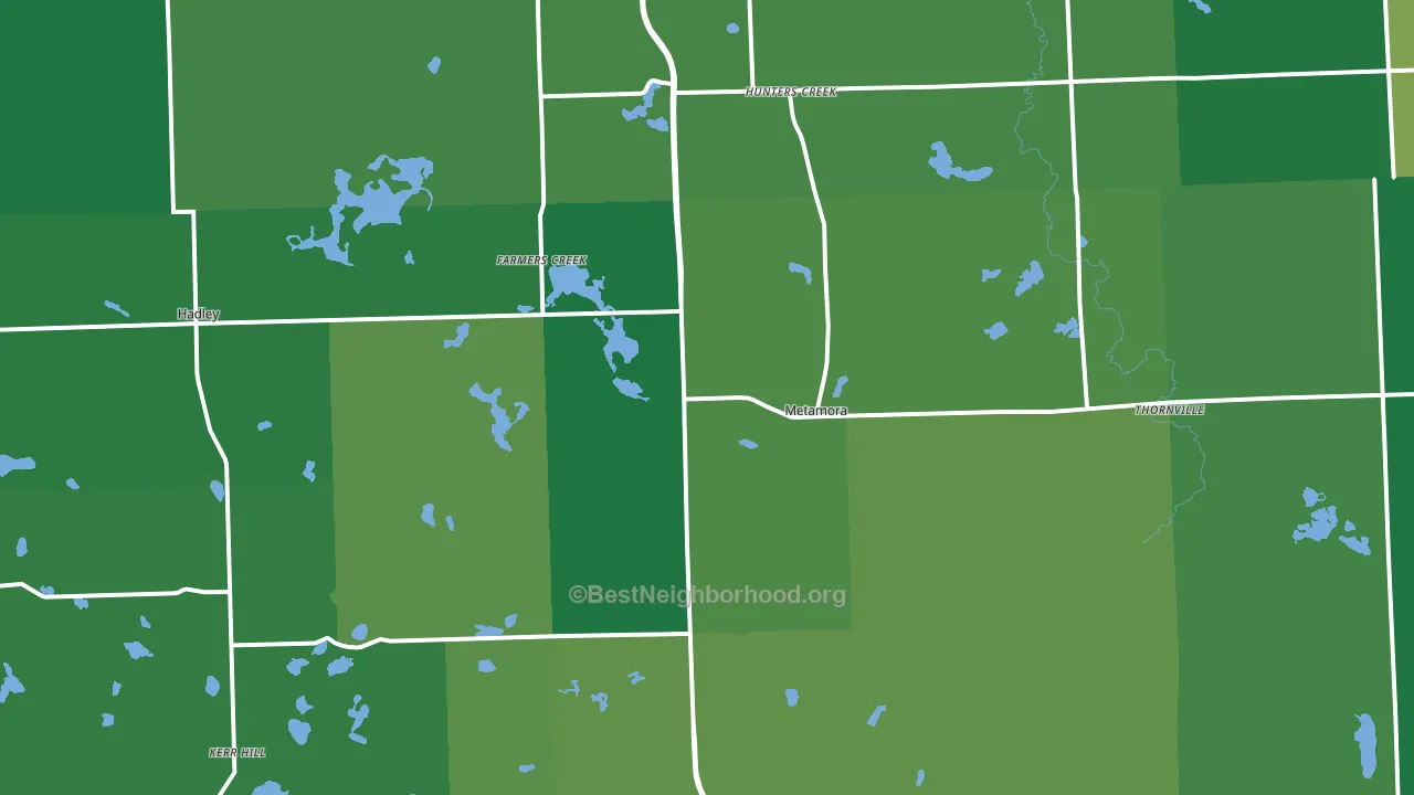 48455, MI block-group voter-turnout map