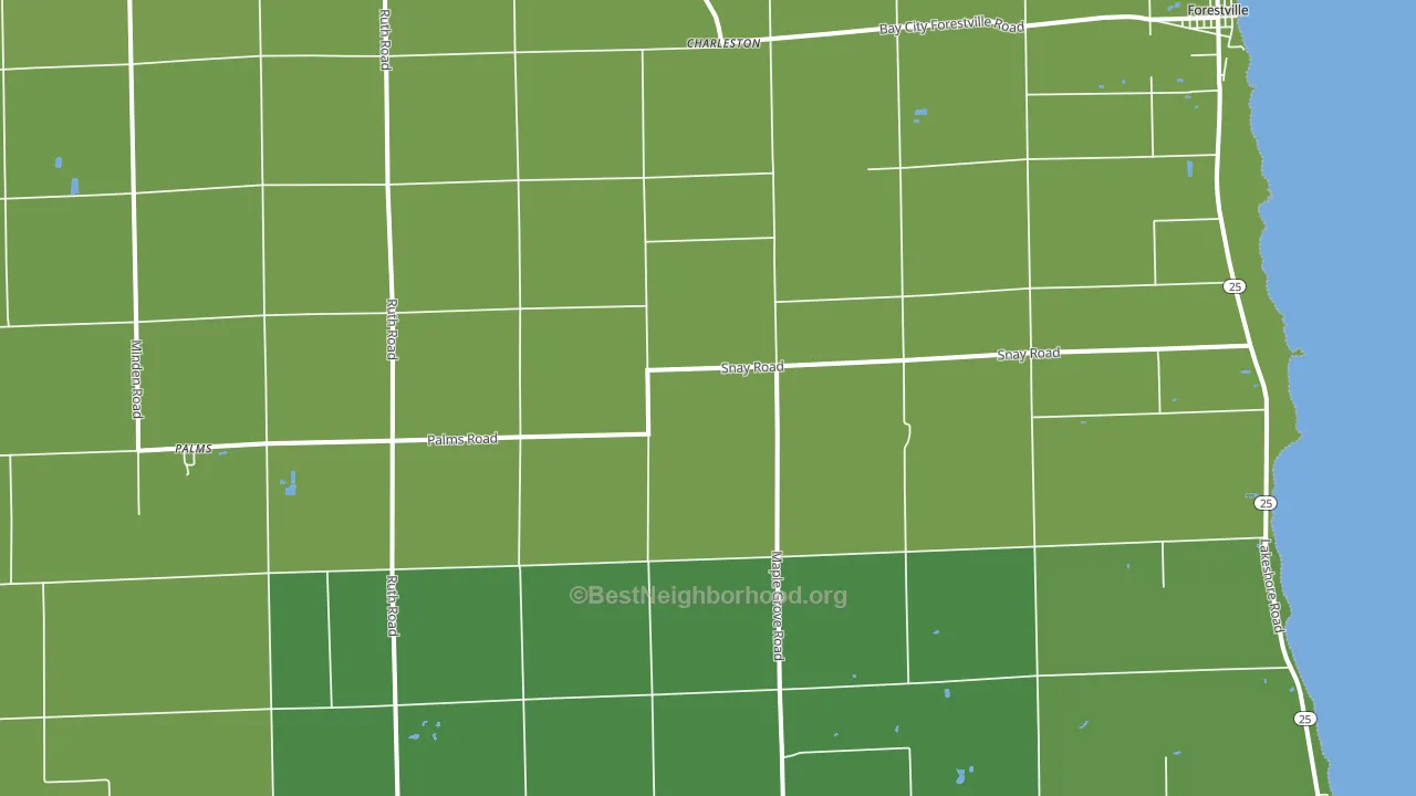 48465, MI block-group voter-turnout map
