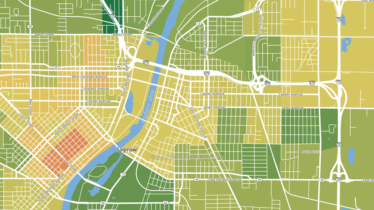 48607, MI block-group voter-turnout map