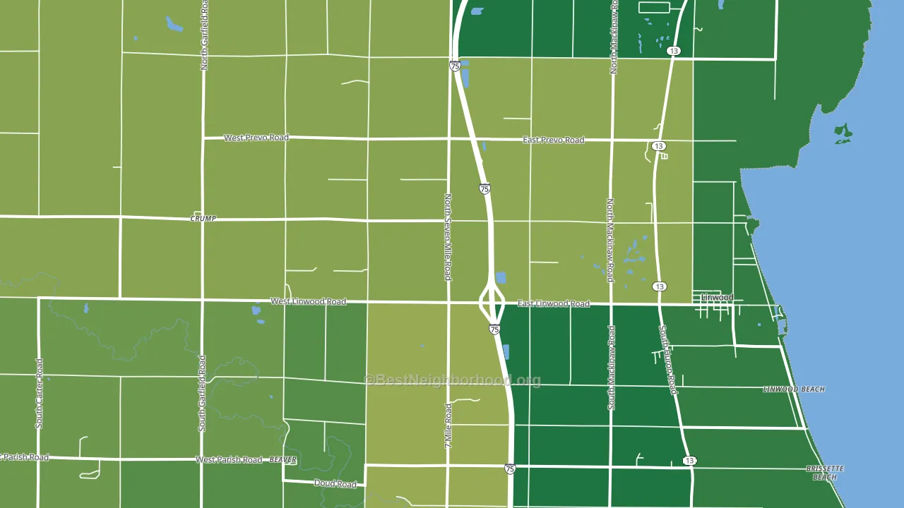 48634, MI block-group voter-turnout map