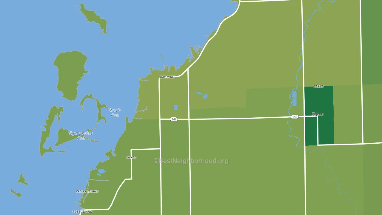 48720, MI block-group voter-turnout map