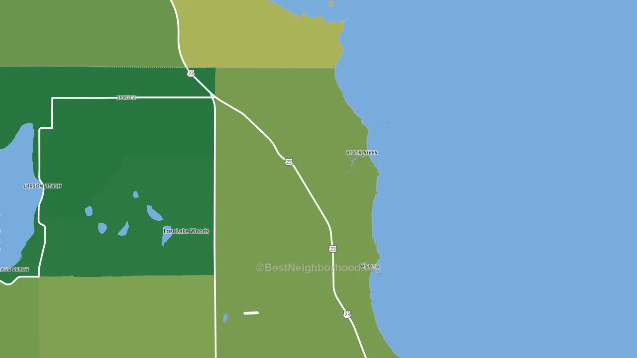 48721, MI block-group voter-turnout map