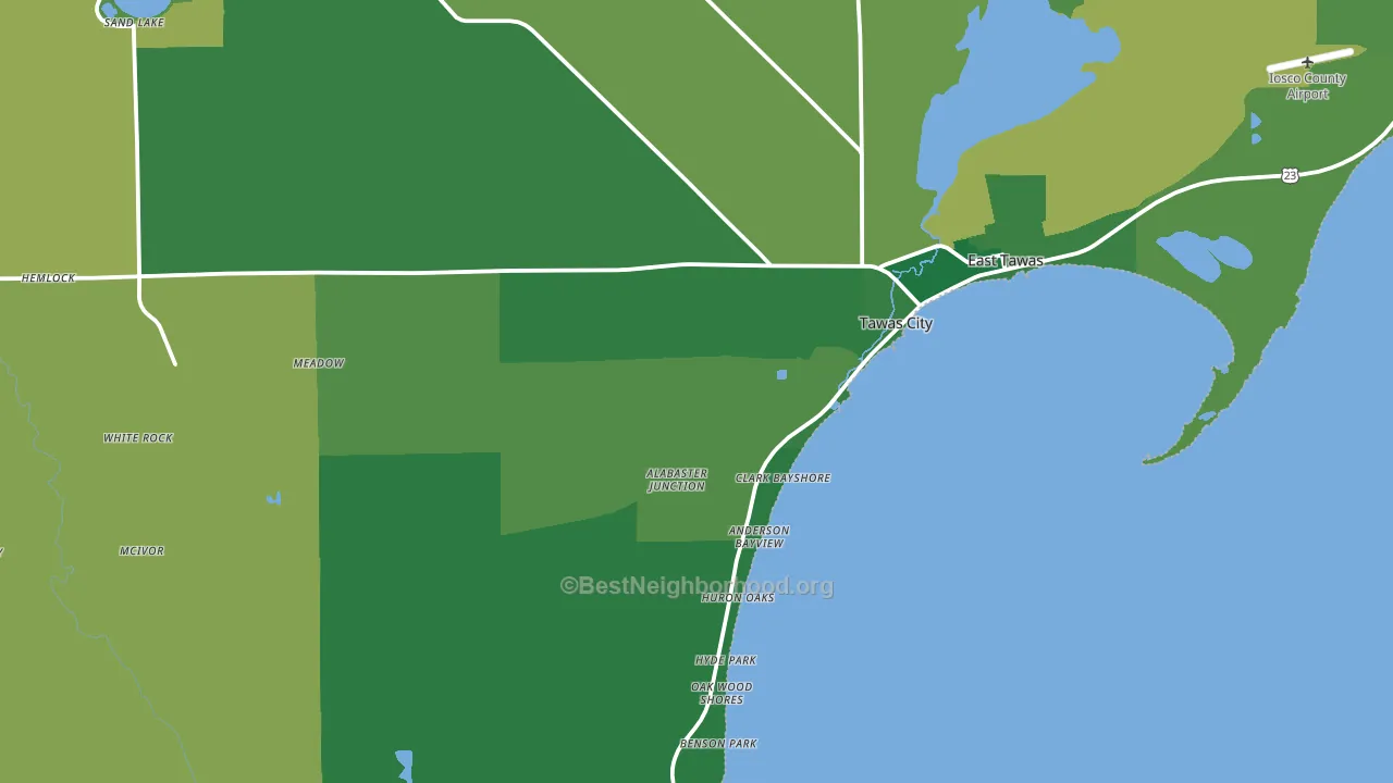 48763, MI block-group voter-turnout map