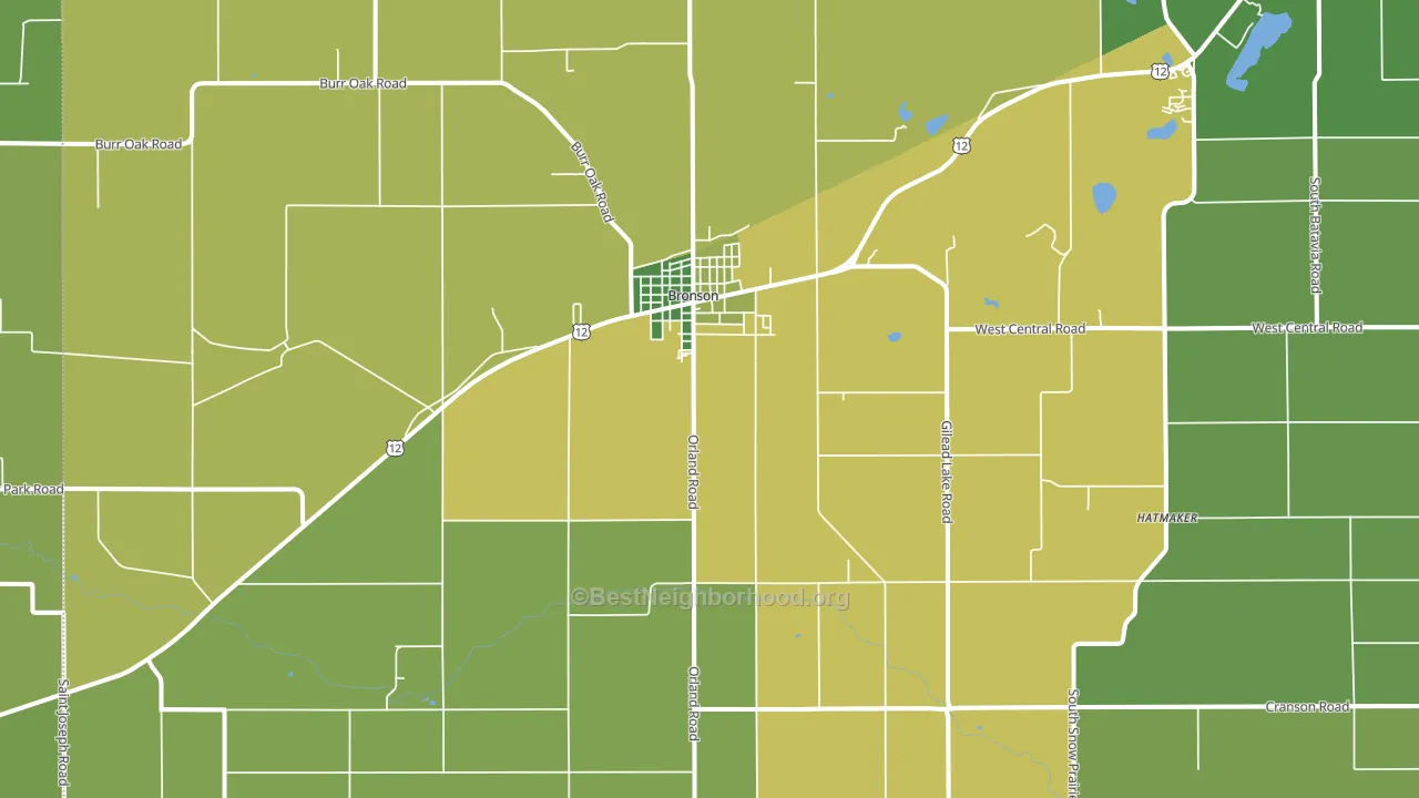 49028, MI block-group voter-turnout map