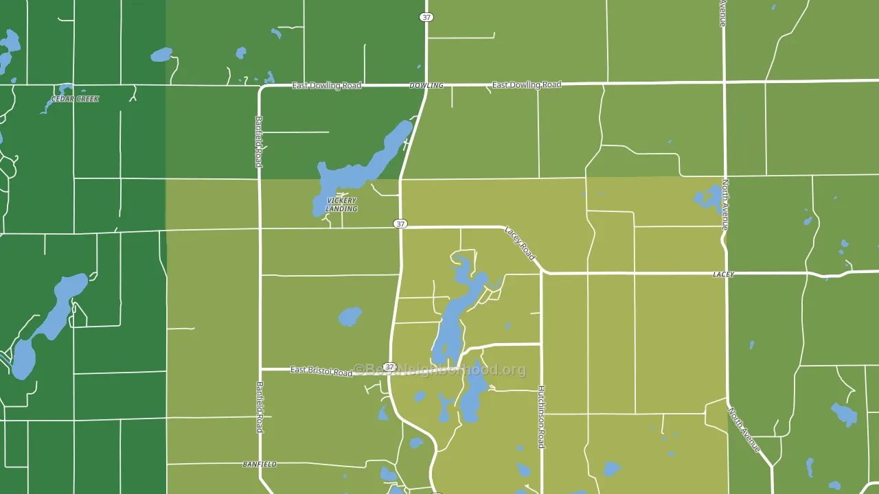 49050, MI block-group voter-turnout map