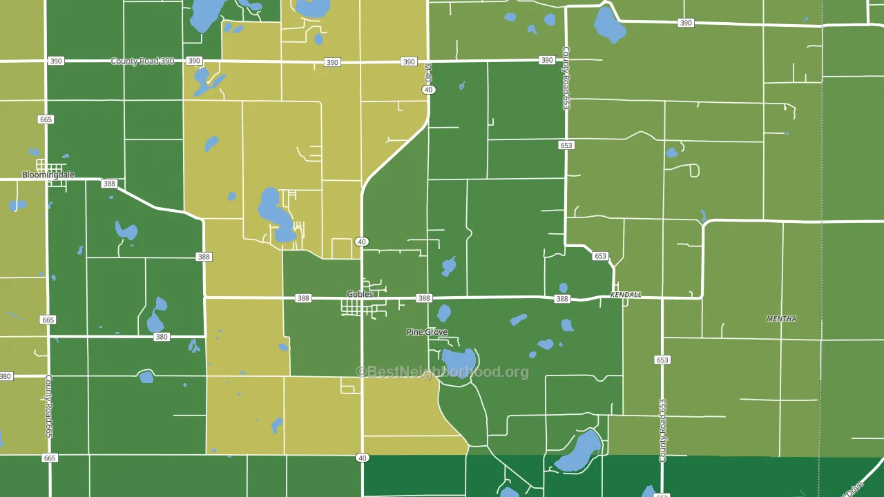49055, MI block-group voter-turnout map
