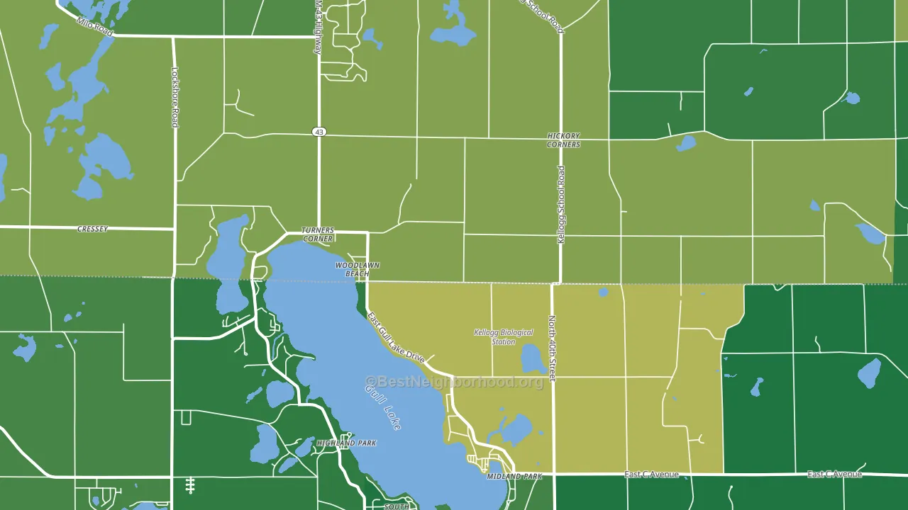49060, MI block-group voter-turnout map