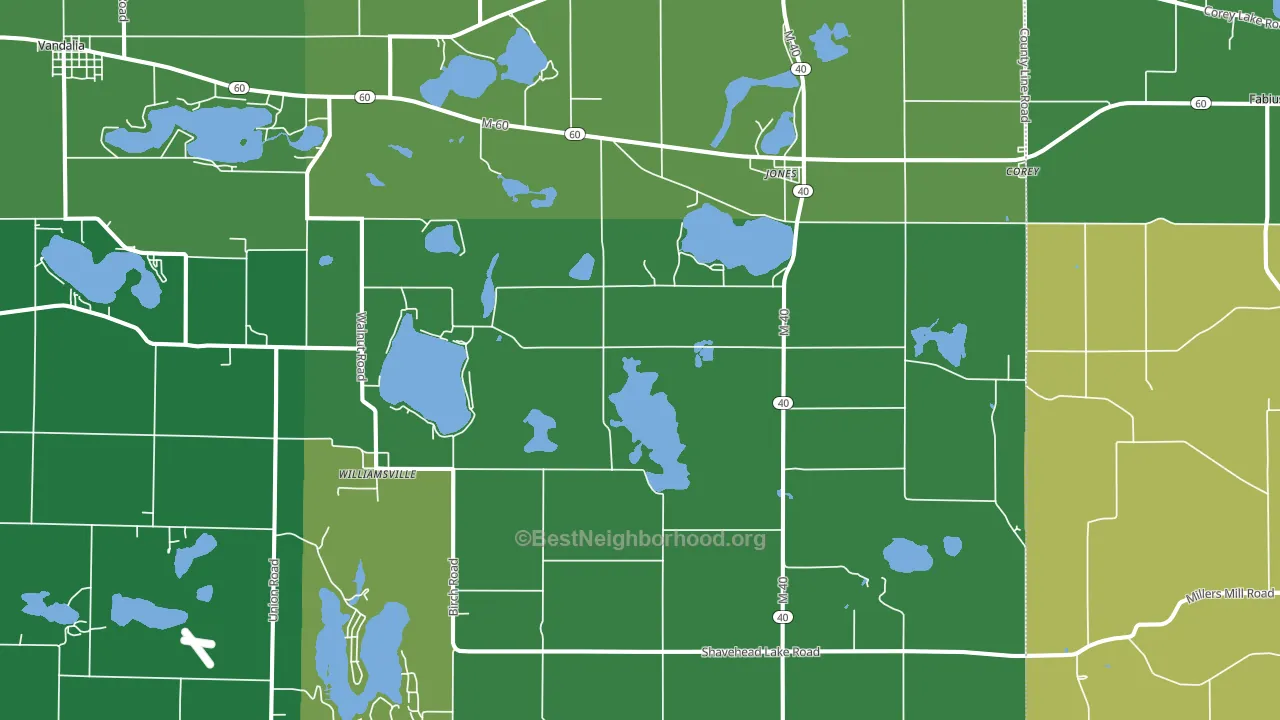 49061, MI block-group voter-turnout map