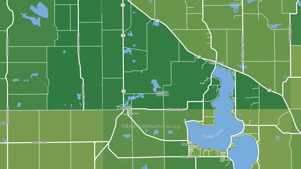 49220, MI block-group voter-turnout map