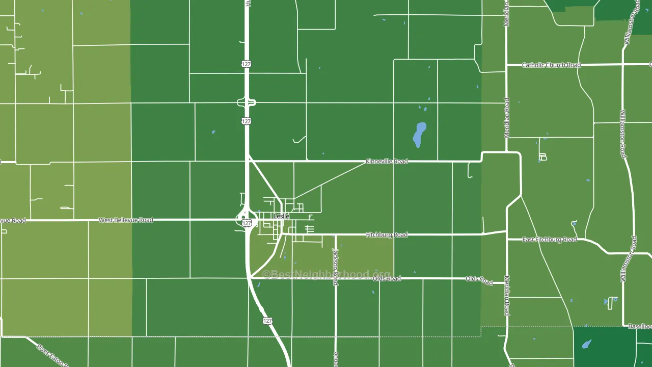 49251, MI block-group voter-turnout map