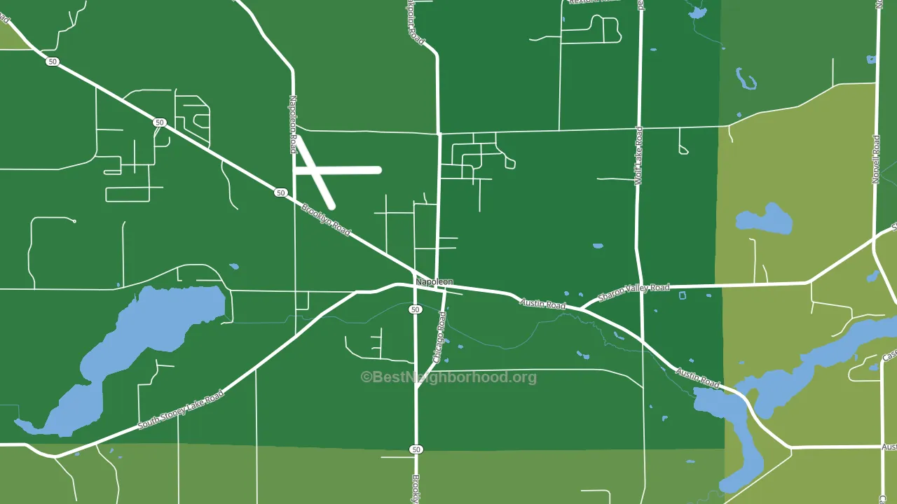 49261, MI block-group voter-turnout map