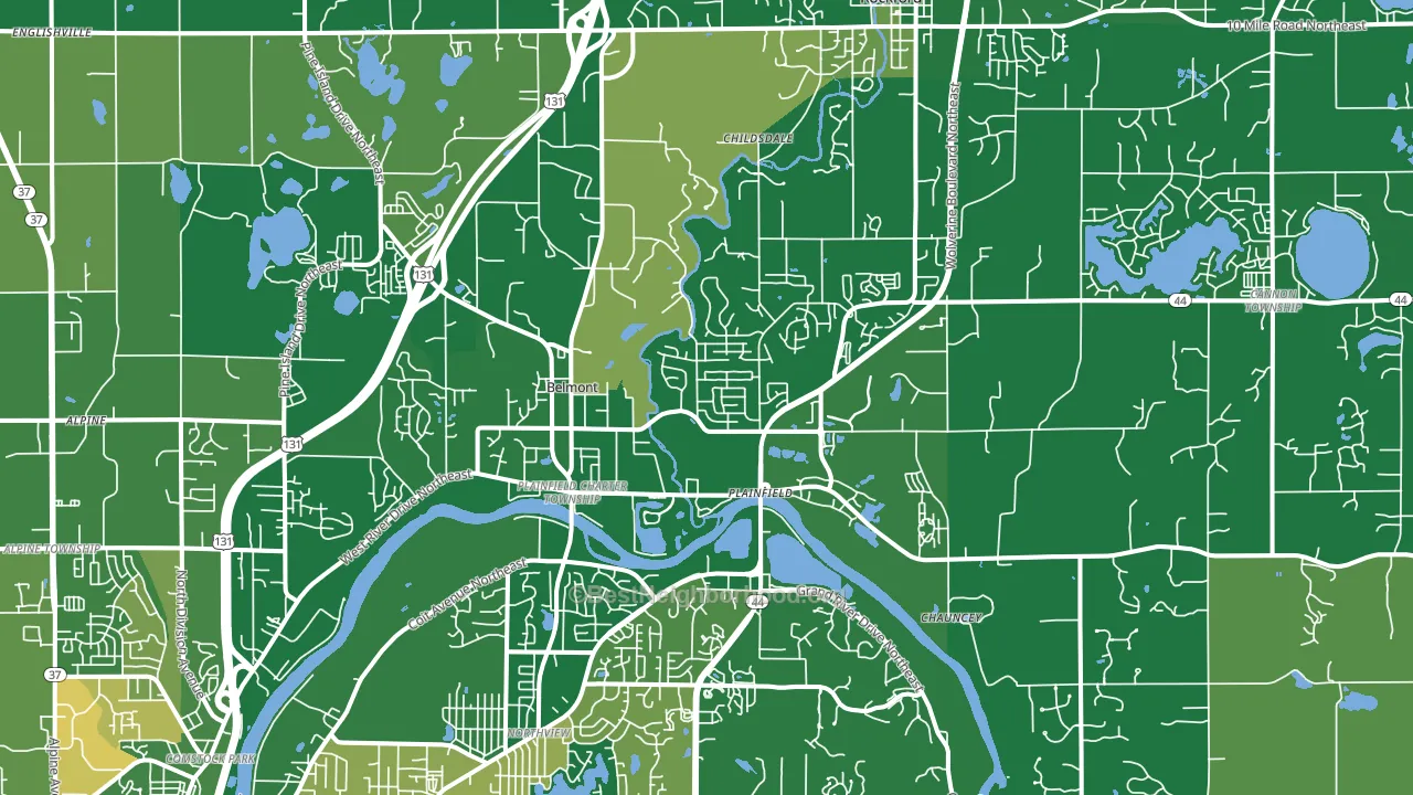 49306, MI block-group voter-turnout map