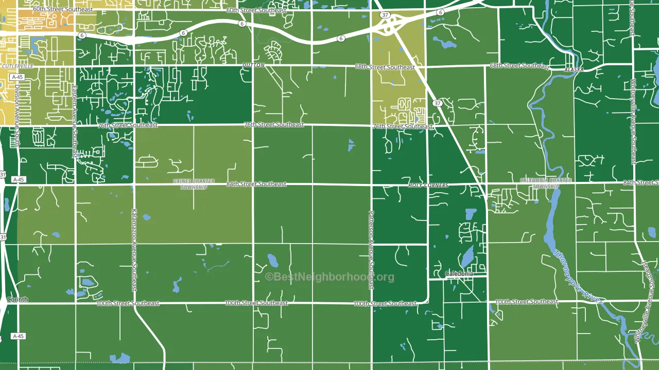 49316, MI block-group voter-turnout map