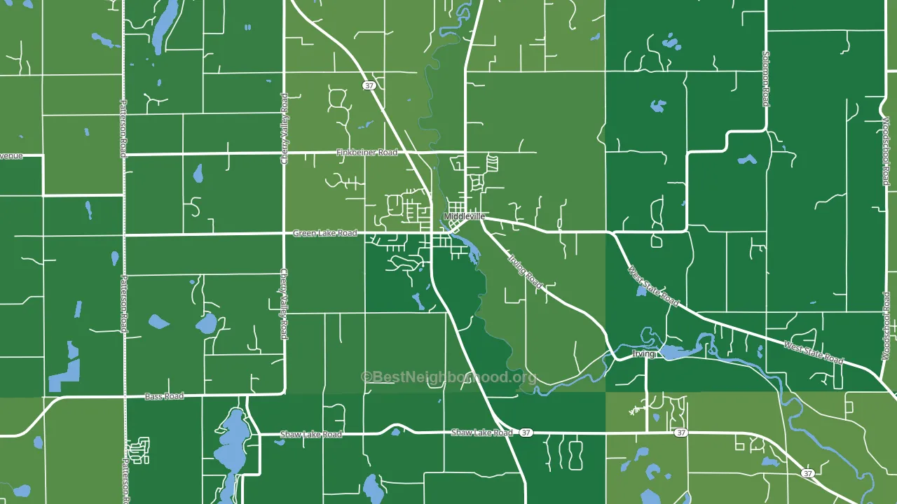 49333, MI block-group voter-turnout map