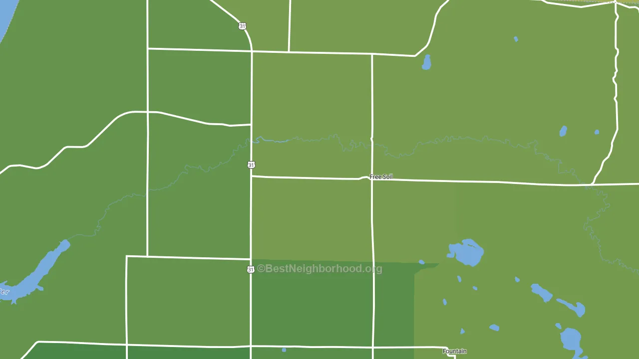 49411, MI block-group voter-turnout map