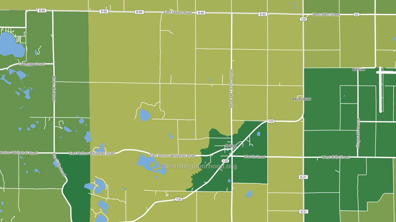 49425, MI block-group voter-turnout map