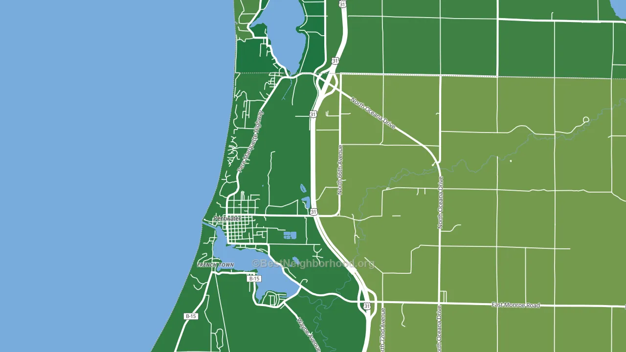 49449, MI block-group voter-turnout map
