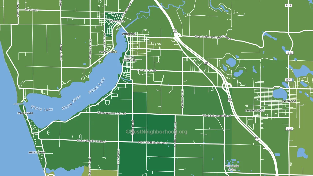49461, MI block-group voter-turnout map