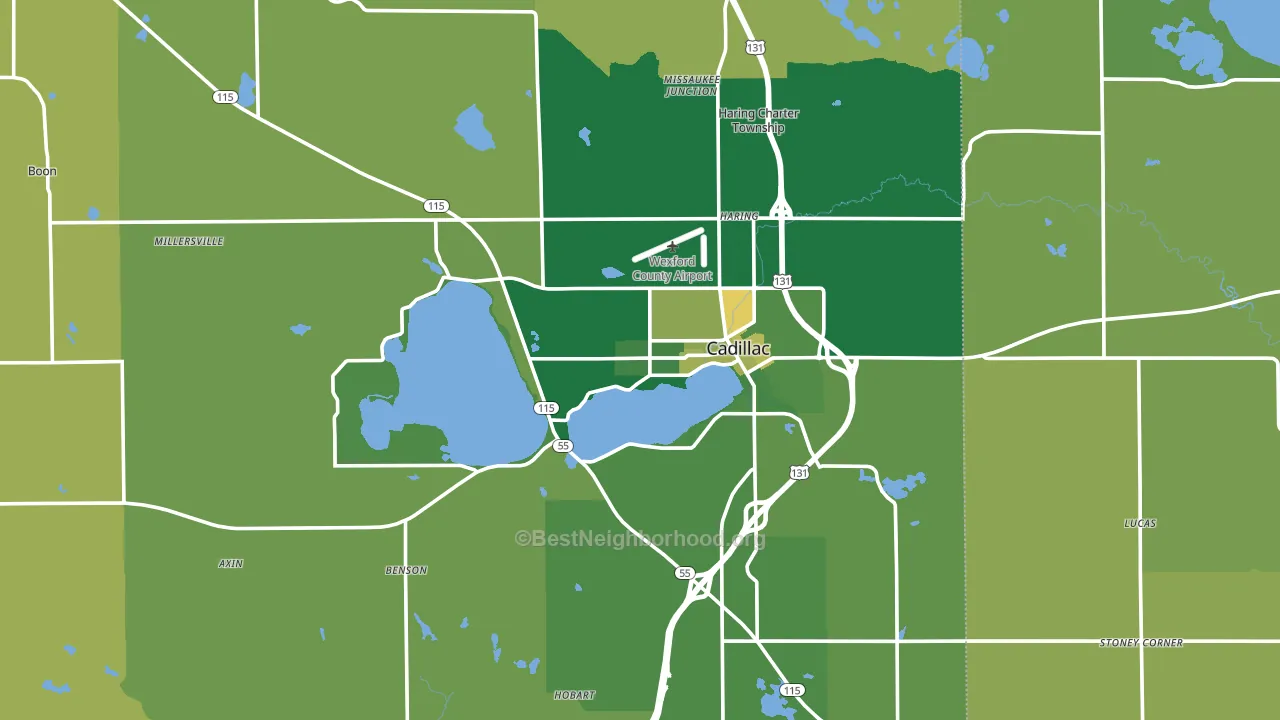49601, MI block-group voter-turnout map