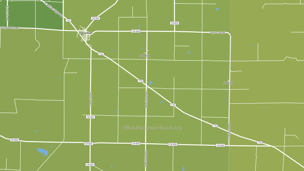 49625, MI block-group voter-turnout map
