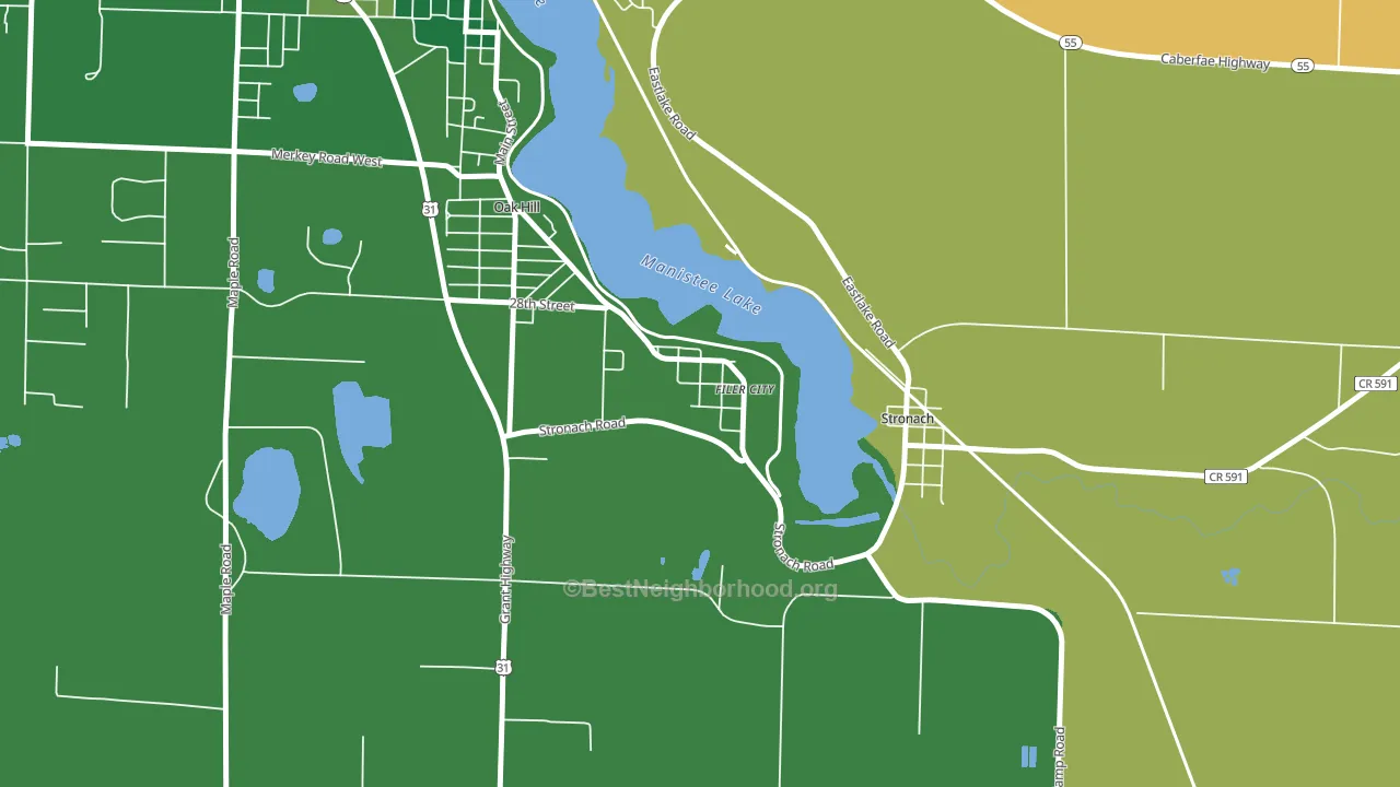 49634, MI block-group voter-turnout map