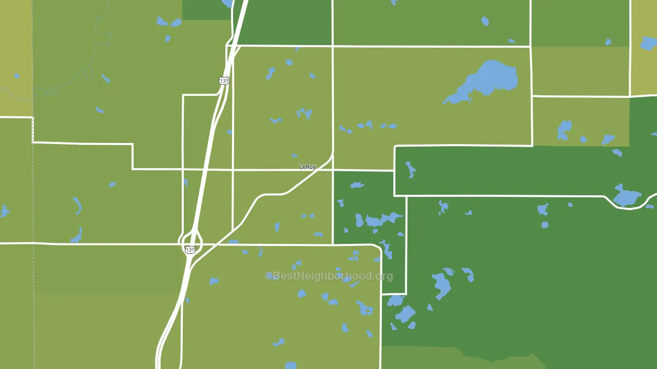 49655, MI block-group voter-turnout map