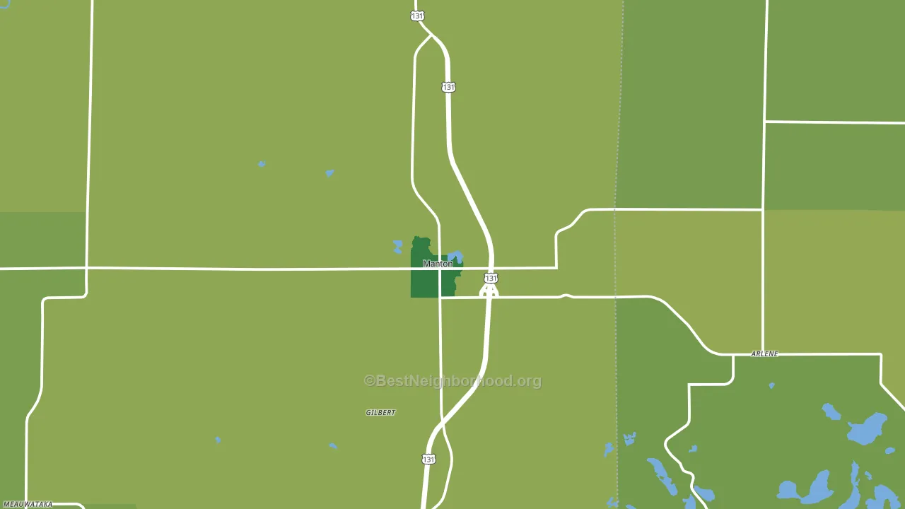 49663, MI block-group voter-turnout map