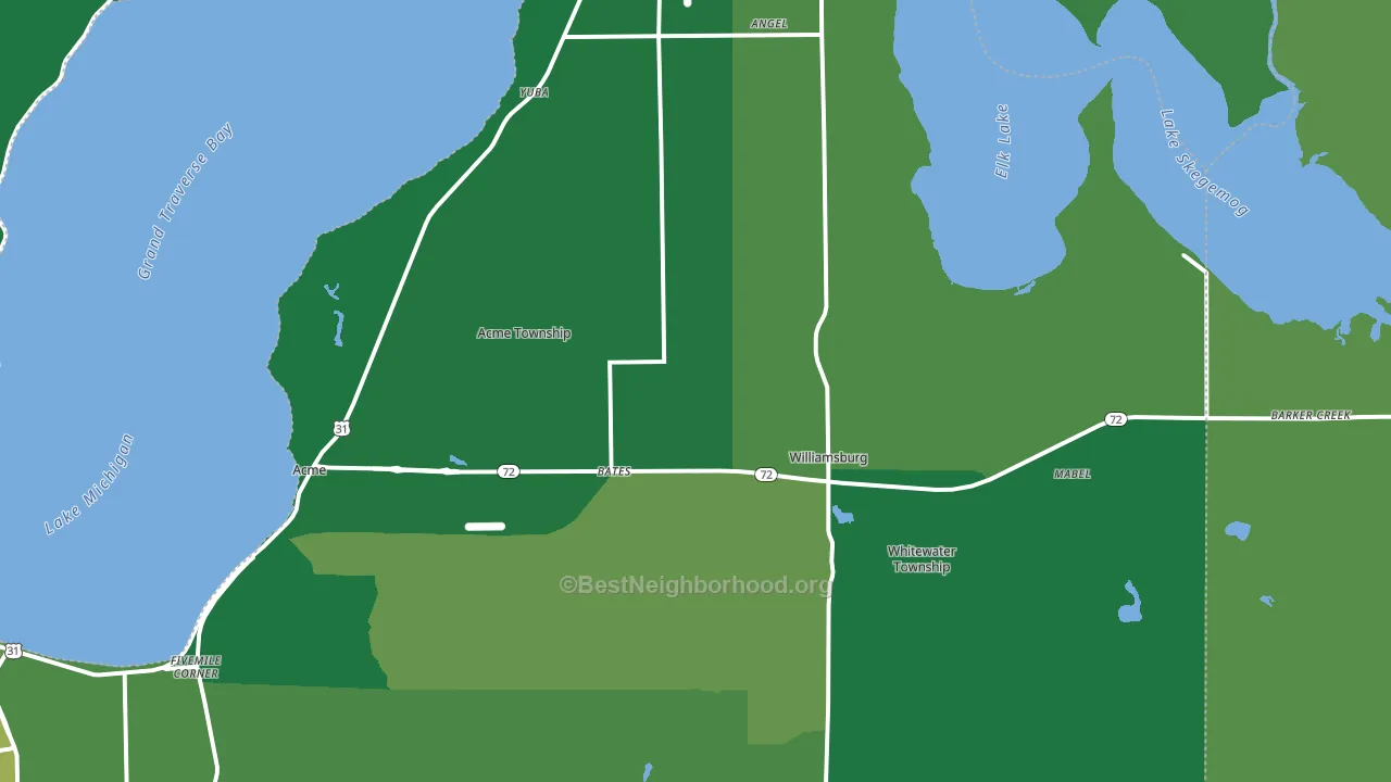 49690, MI block-group voter-turnout map
