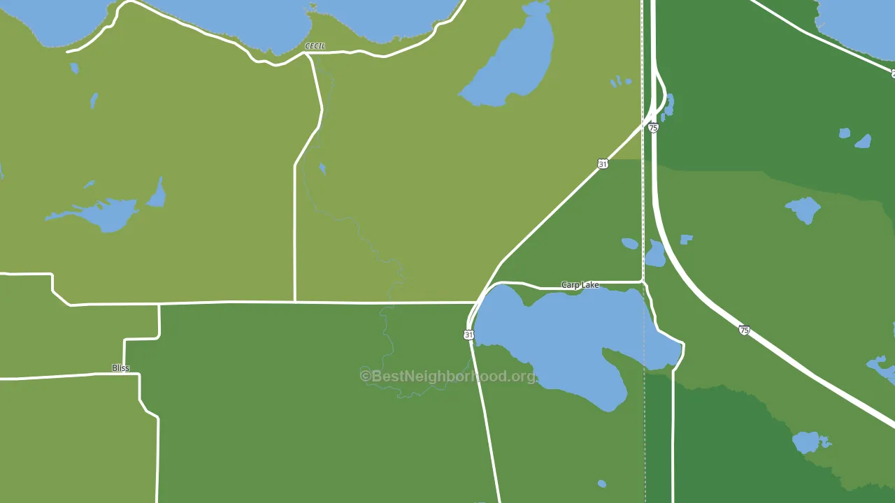 49718, MI block-group voter-turnout map