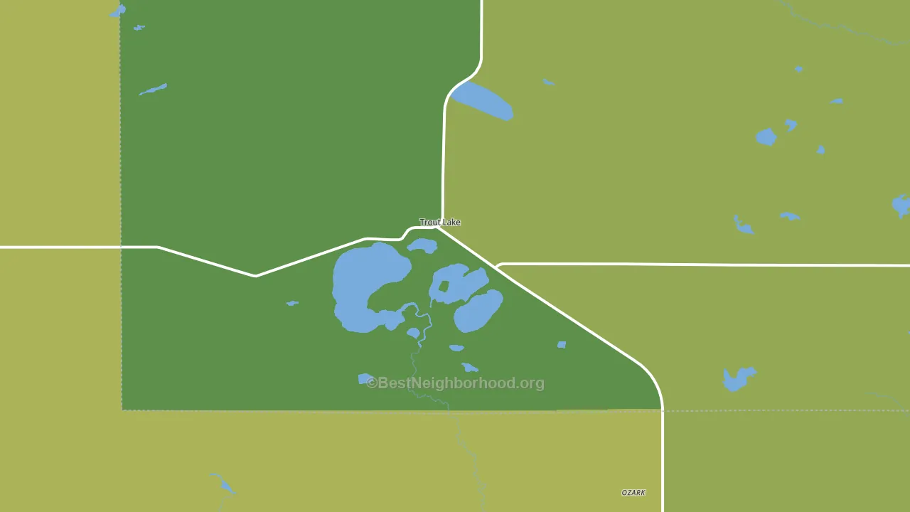 49793, MI block-group voter-turnout map