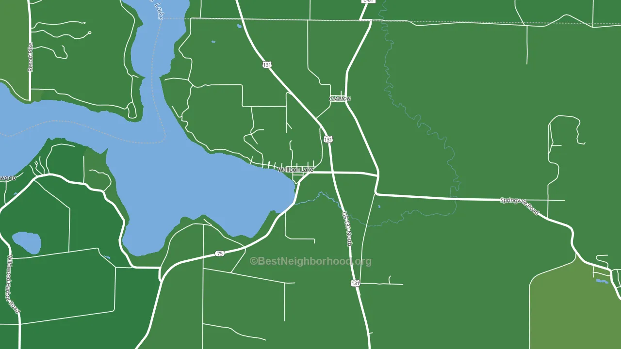 49796, MI block-group voter-turnout map
