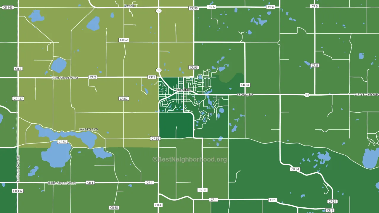 55046, MN block-group voter-turnout map