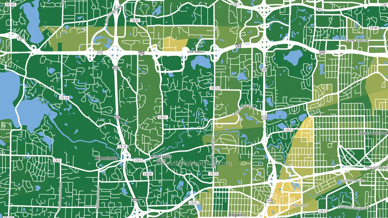 55305, MN block-group voter-turnout map