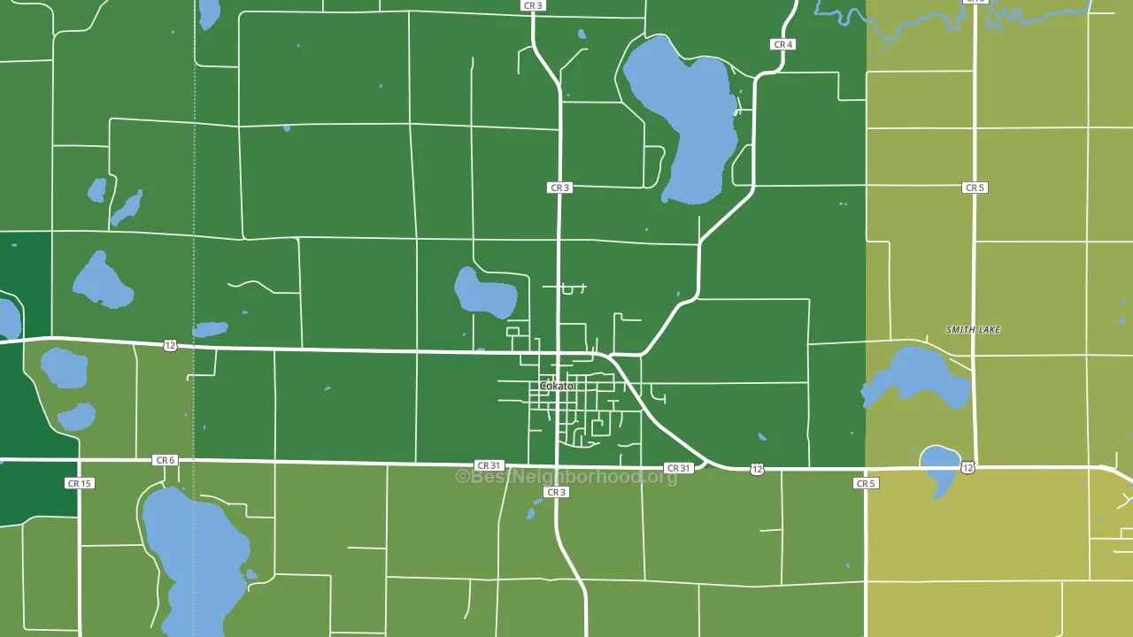 55321, MN block-group voter-turnout map