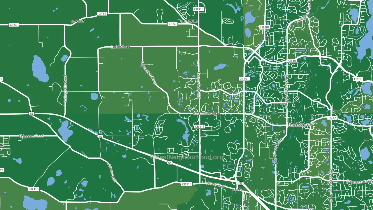 55340, MN block-group voter-turnout map