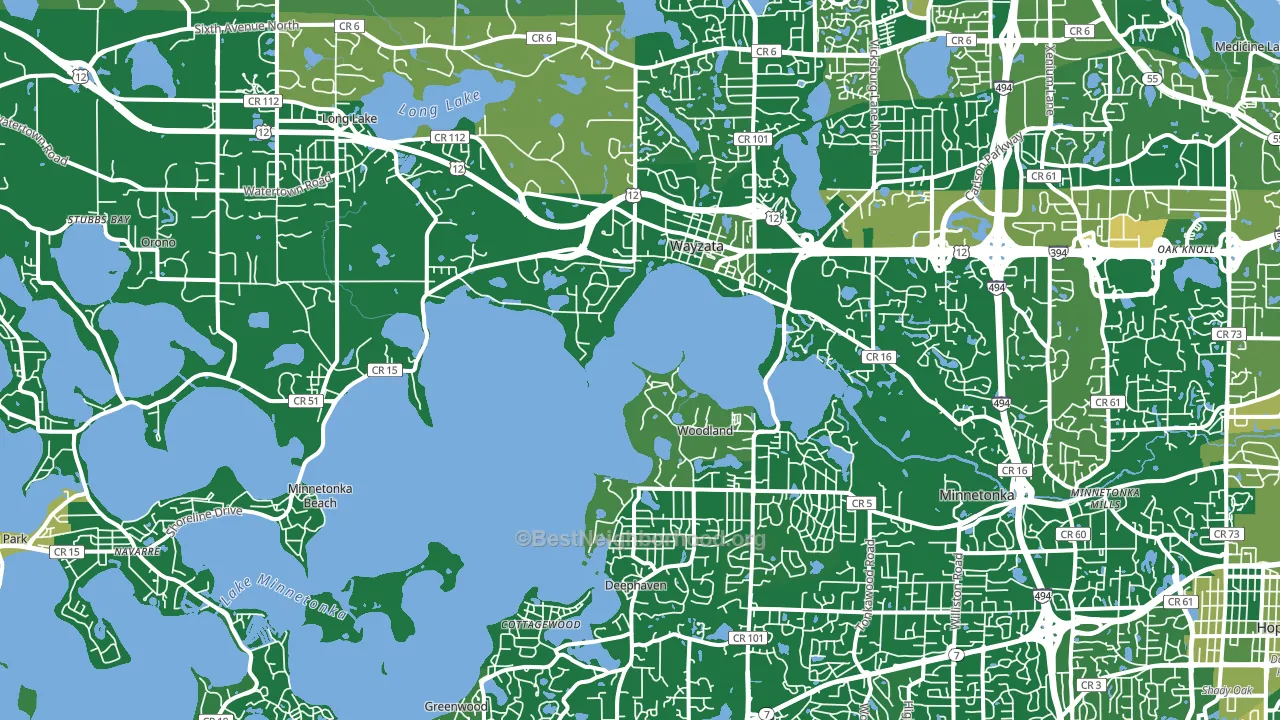 55391, MN block-group voter-turnout map